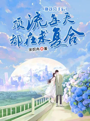 《协议分手后，顶流每天都在求复合》小说封面