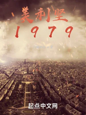 《美利坚1979》小说封面