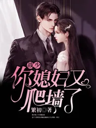 《宋画意战少胤小说》小说封面