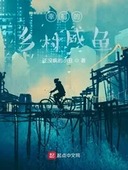 《幸福的乡村咸鱼》小说封面