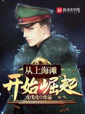 《从上海滩开始崛起》小说封面