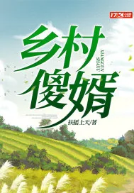 《乡村傻婿》小说封面