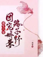 《重生八零团宠娇妻路子野》小说封面