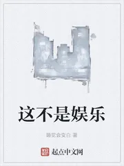 《这不是娱乐》小说封面