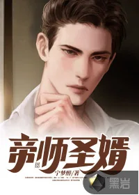 《帝师圣婿》小说封面