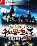 《哈利波特与秘密宝藏》小说封面