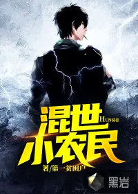 《混世小农民》小说封面
