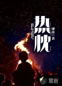 《热忱》小说封面