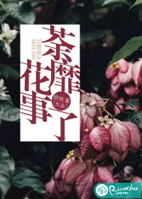《荼蘼花事了》小说封面