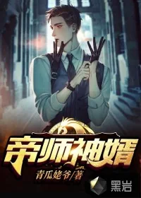 《帝师神婿》小说封面