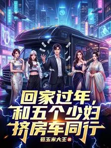 《回家过年，和五个少妇挤房车同行》小说封面