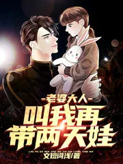 《老婆大人叫我再带两天娃》小说封面