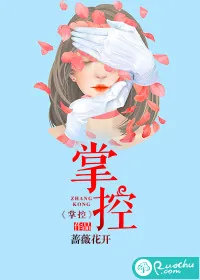 《掌控》小说封面