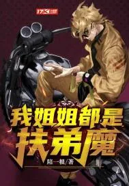 《我姐姐都是扶弟魔》小说封面