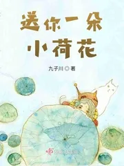 《送你一朵小荷花》小说封面