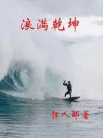 《浪满乾坤》小说封面