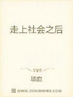 《走上社会之后》小说封面