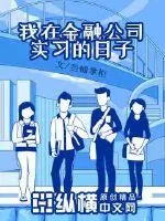 《我在金融公司实习的日子》小说封面