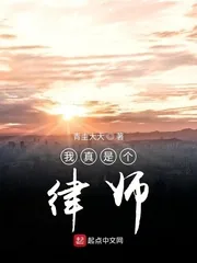 《我真是个律师》小说封面