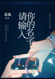《请输入你的名字》小说封面