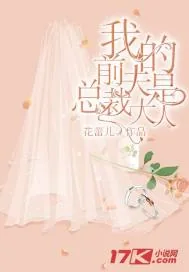 《我的前夫是总裁大人》小说封面