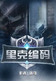 《里克编码》小说封面