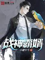 《战神霸婿》小说封面
