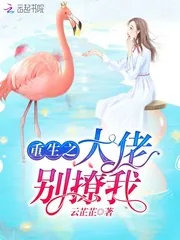 《重生之大佬别撩我》小说封面