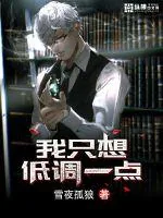 《我只想低调一点》小说封面