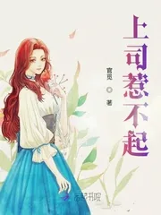 《上司惹不起》小说封面