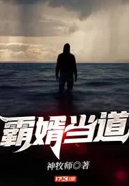 《霸婿当道》小说封面