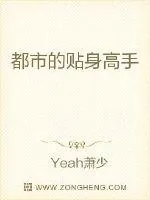 《都市的贴身高手》小说封面
