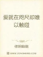 《爱就在咫尺却难以触碰》小说封面