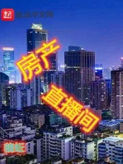 《房产直播间》小说封面
