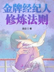 《金牌经纪人修炼法则》小说封面