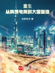 《重生：从跨境电商到大国智造》小说封面