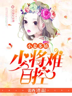《小妻多娇：少将难自控》小说封面