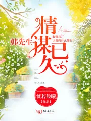 《韩先生，情谋已久》小说封面