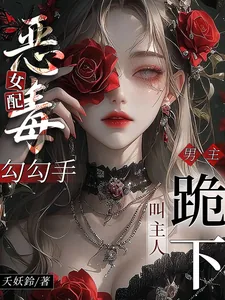 《恶毒女配勾勾手，男主跪下叫主人》小说封面