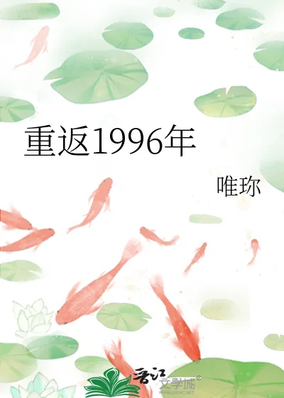 《重返1996年》小说封面