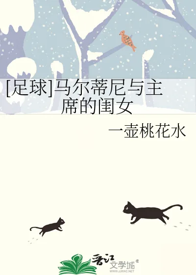 《[足球]马尔蒂尼与主席的闺女》小说封面
