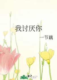 《我讨厌你》小说封面