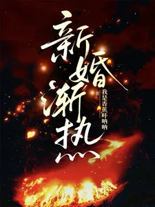 《新婚渐热》小说封面