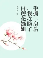 《手撕二房后,我攻略了白莲花嫡姐》小说封面