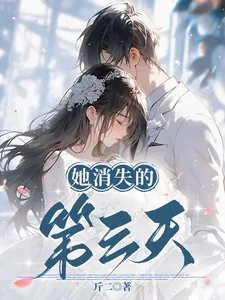 《她消失的第三天》小说封面