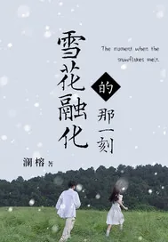 《雪花融化的那一刻》小说封面