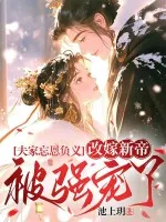 《夫家忘恩负义,改嫁新帝被强宠了》小说封面