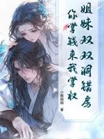 《姐妹双双洞错房，你掌钱来我掌权！》小说封面