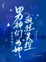 《夜夜共梦？男神们为她疯狂失控》小说封面