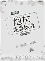 《炮灰逆袭标准（快穿）》小说封面